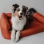 REDANT waterproof dog bed CLASSIC tehlový - Size: XL