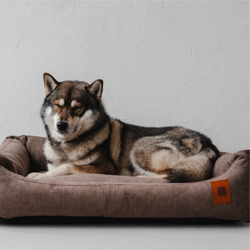 REDANT menčestrový pelíšek pro psa CORD olivový - Velikost: L