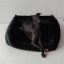 REDANT zamatový dog bed VELVET čierny - Size: S