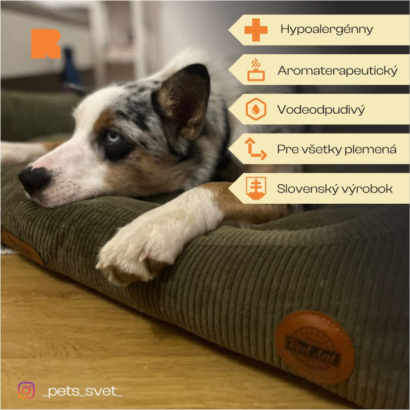 REDANT náhradná obliečka na pelech CORD zelená - Veľkosť: L