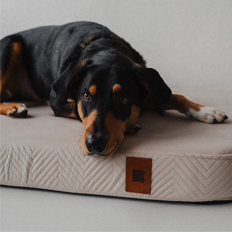 REDANT náhradní povlak na ortopedický pelíšek ORTHOPEDIC VELVET krémový - Velikost: L