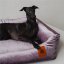 REDANT zamatový dog bed VELVET fialový - Size: S