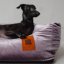 REDANT zamatový dog bed VELVET fialový - Size: S