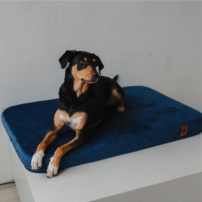 REDANT replacement cover for orthopedic bed ORTHOPEDIC VELVET blue - Size: L
