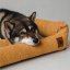 REDANT menčestrový dog bed CORD béžový - Size: M