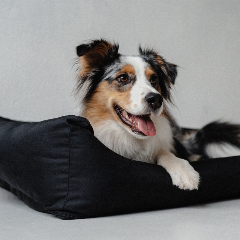 REDANT náhradní potah na pelech pro psa "VLASTNÍ POTISK"