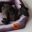 REDANT zamatový dog bed VELVET fialový - Size: S