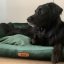 REDANT replacement cover for bed VELVET black