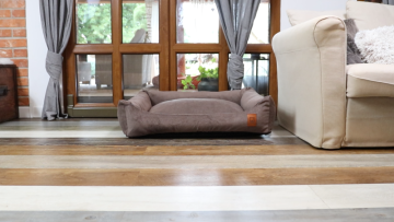 The Best Place for a Dog Bed: Helping Your Dog Feel Safe and Comfortable