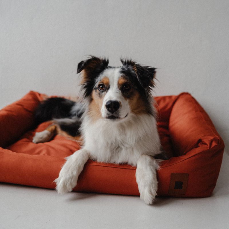 REDANT nepremokavý pelech pre psa CLASSIC modrý