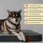 REDANT replacement cover for orthopedic bed ORTHOPEDIC CORD anthracite - Size: M