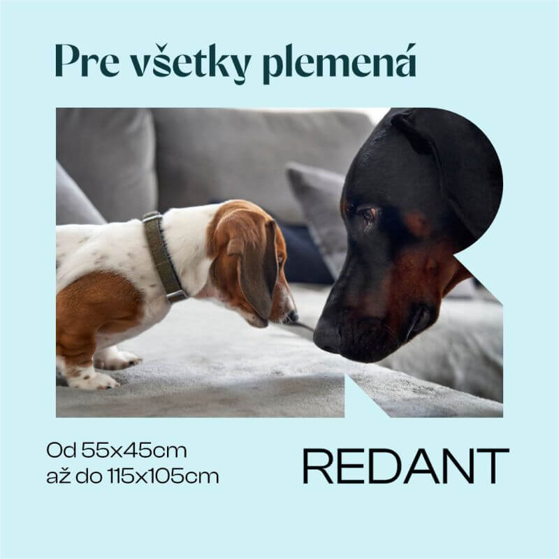 REDANT pelíšek pro psa s paměťovou pěnou DELUXE modrý - Velikost: M