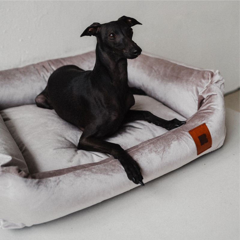 REDANT zamatový dog bed VELVET sivý - Size: M
