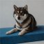 REDANT orthopedic dog bed with memory foam ORTHOPEDIC CORD blue - Size: S, Type of mattress: Bez pamäťovej peny