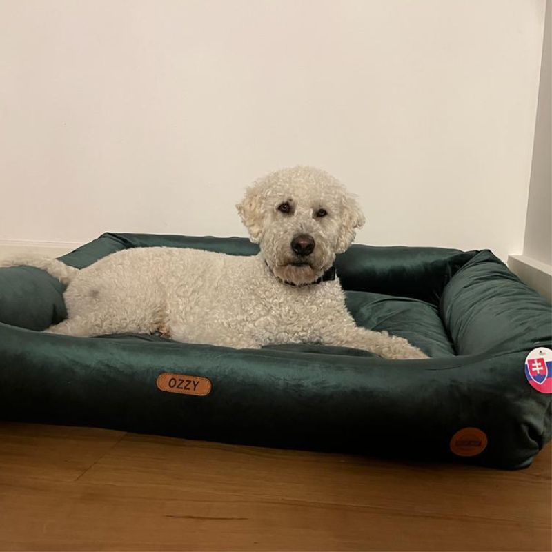 REDANT náhradní potah na pelech VELVET zelený