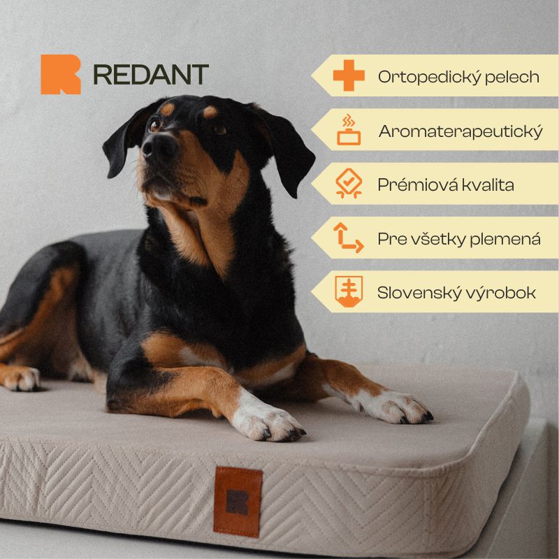 REDANT ortopedický pelíšek pro psa s paměťovou pěnou ORTHOPEDIC VELVET krémový - Velikost: S, Druh matrace: S pamäťovou penou