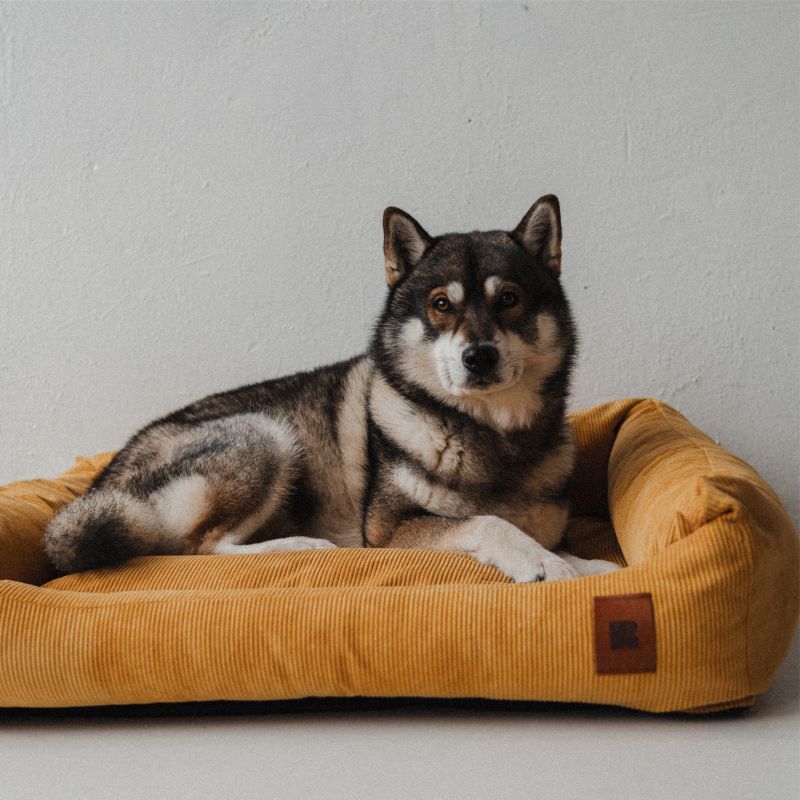 REDANT náhradní potah na pelech CORD oranžový - Velikost: L