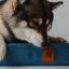 REDANT orthopedic dog bed with memory foam ORTHOPEDIC CORD blue - Size: S, Type of mattress: Bez pamäťovej peny