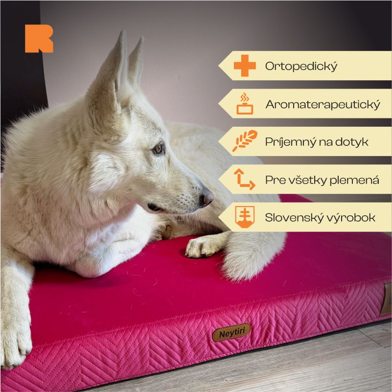 REDANT orthopedic dog bed with memory foam ORTHOPEDIC VELVET cyclamen - Size: S, Type of mattress: S pamäťovou penou