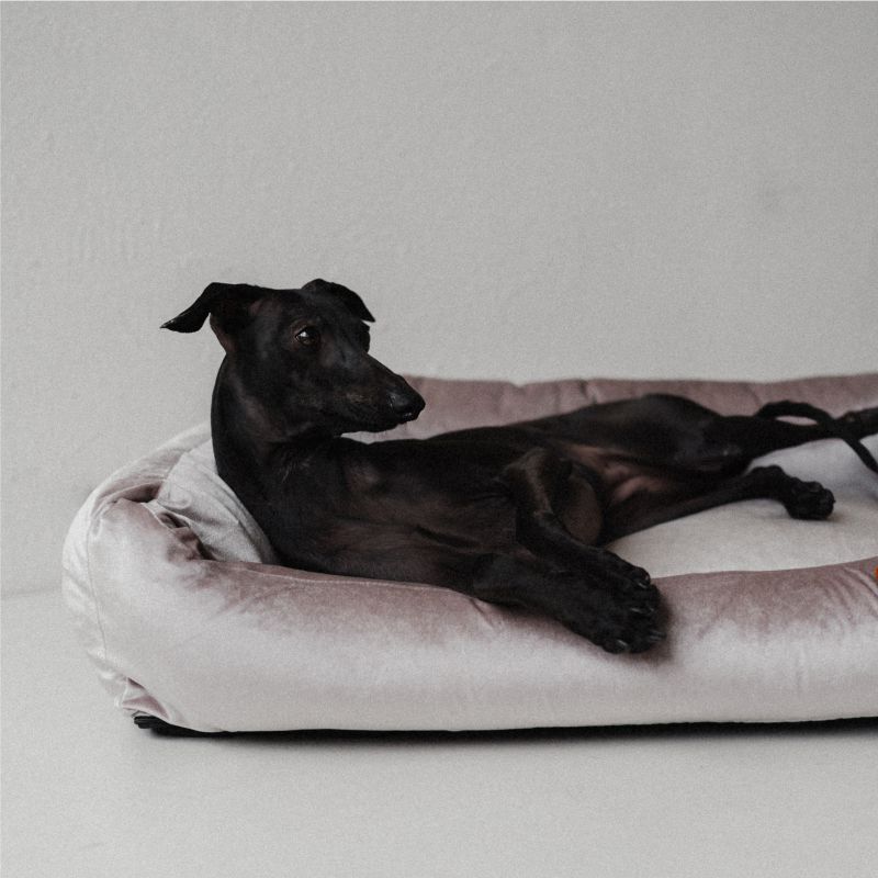 REDANT zamatový dog bed VELVET sivý - Size: M