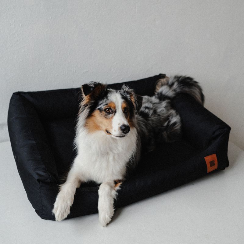 REDANT replacement cover for bed CLASSIC black - Size: S