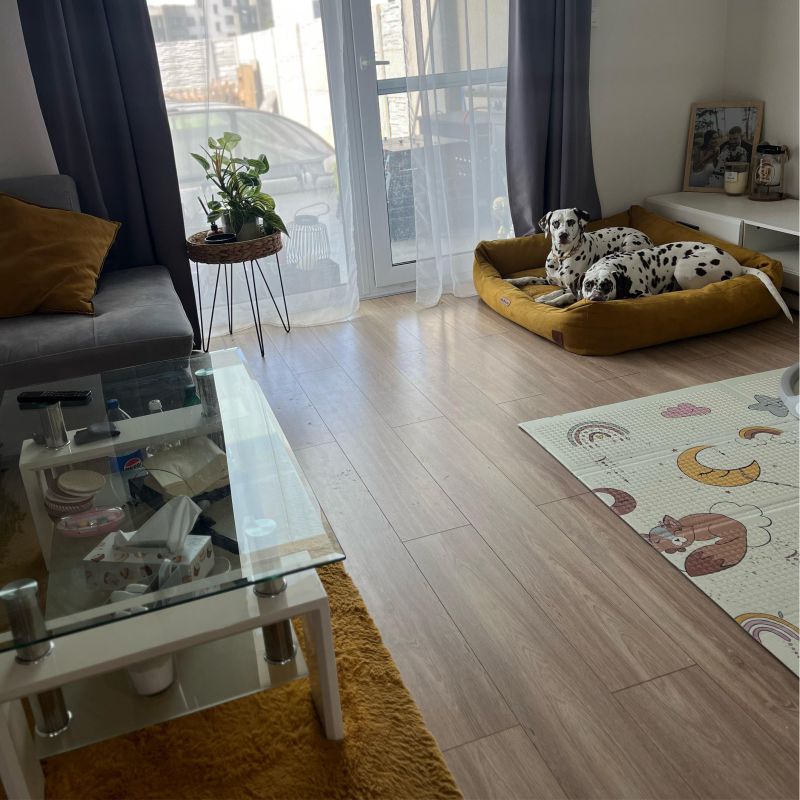 REDANT pelíšek pro psa s paměťovou pěnou DELUXE žlutý - Velikost: M