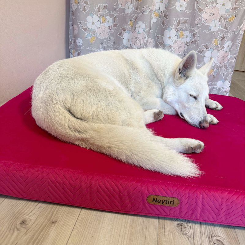 REDANT orthopedic dog bed with memory foam ORTHOPEDIC VELVET cyclamen - Size: S, Type of mattress: S pamäťovou penou