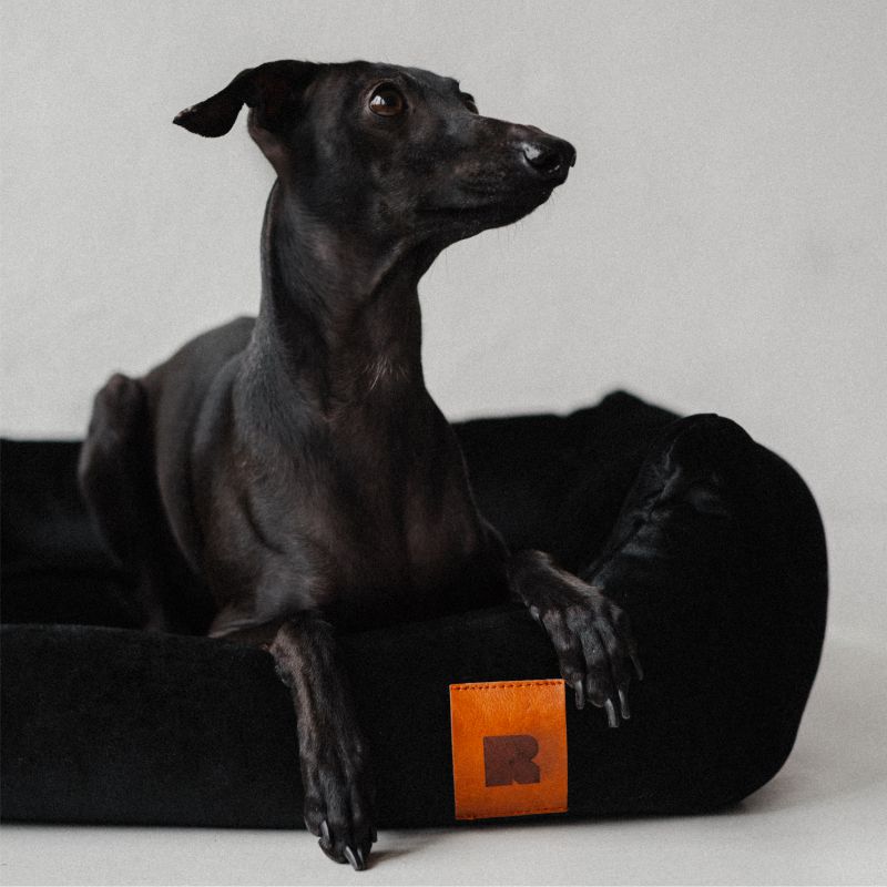 REDANT zamatový dog bed VELVET čierny - Size: S