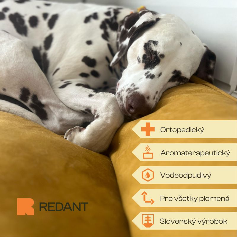 REDANT pelíšek pro psa s paměťovou pěnou DELUXE žlutý - Velikost: M