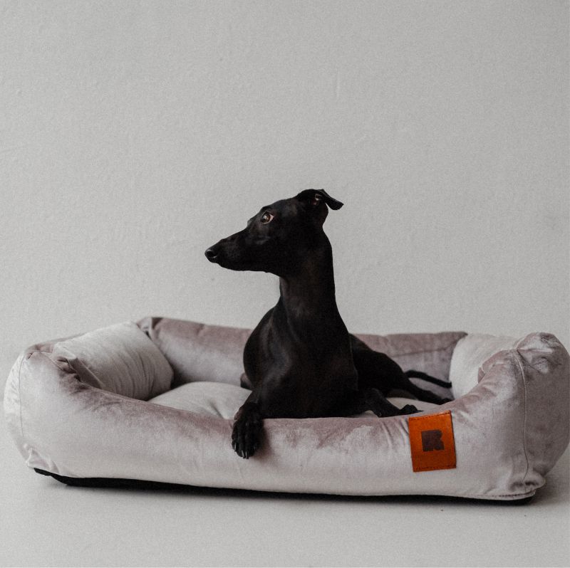 REDANT zamatový dog bed VELVET sivý - Size: M