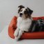 REDANT waterproof dog bed CLASSIC tehlový - Size: XL