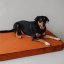 REDANT orthopedic dog bed with memory foam ORTHOPEDIC VELVET cinnamon