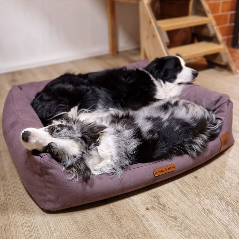 REDANT dog bed with memory foam DELUXE purple - Size: L