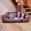 REDANT dog bed with memory foam DELUXE purple - Size: L