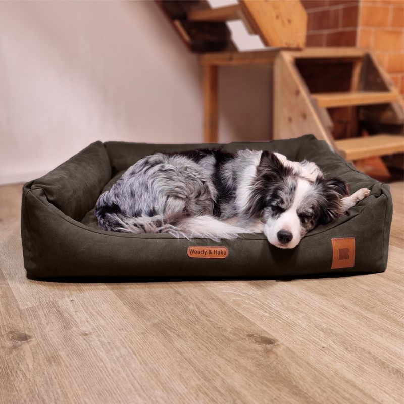 REDANT dog bed with memory foam DELUXE chocolate - Size: L