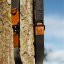 REDANT luxury adjustable running leash black