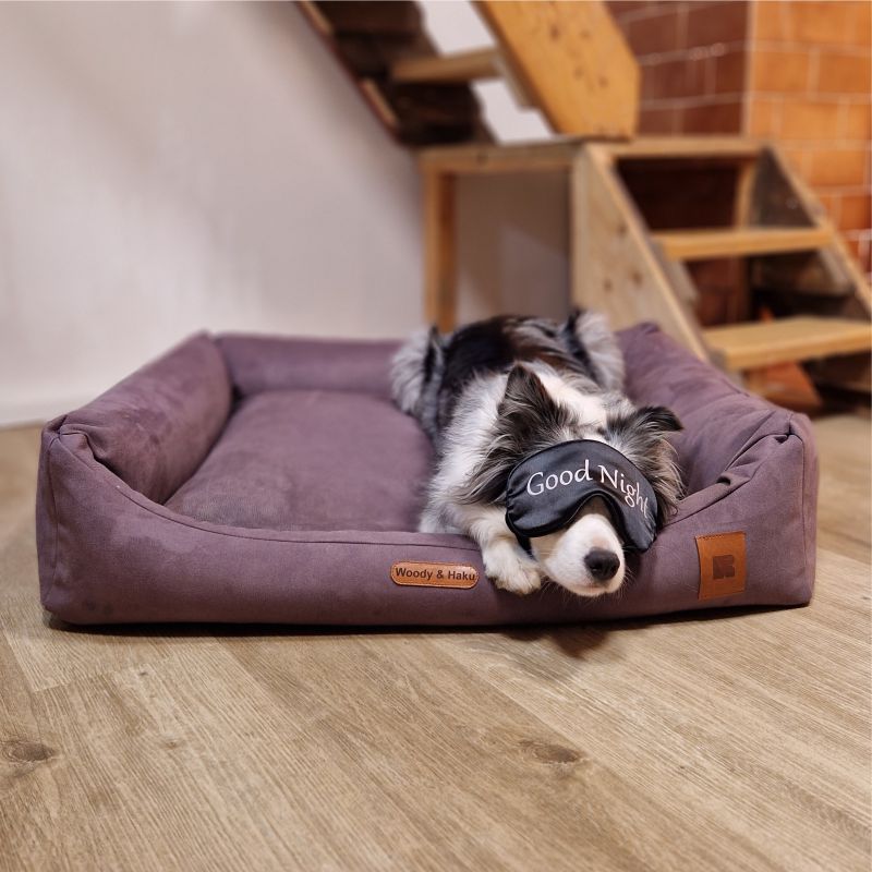 REDANT dog bed with memory foam DELUXE purple - Size: L