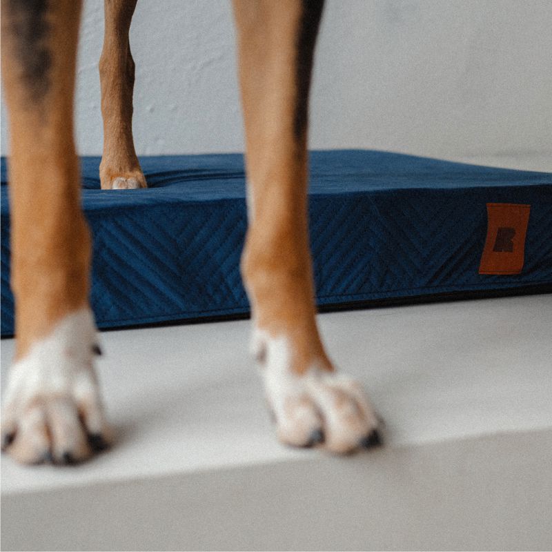 REDANT replacement cover for orthopedic bed ORTHOPEDIC VELVET blue - Size: L