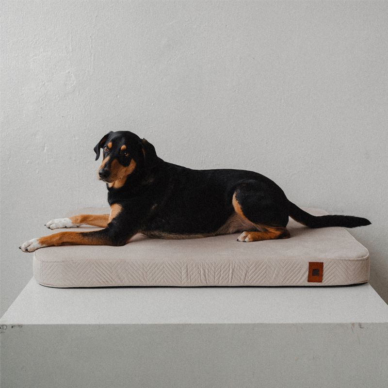 REDANT ortopedický pelíšek pro psa s paměťovou pěnou ORTHOPEDIC VELVET černý - Velikost: M, Druh matrace: S pamäťovou penou