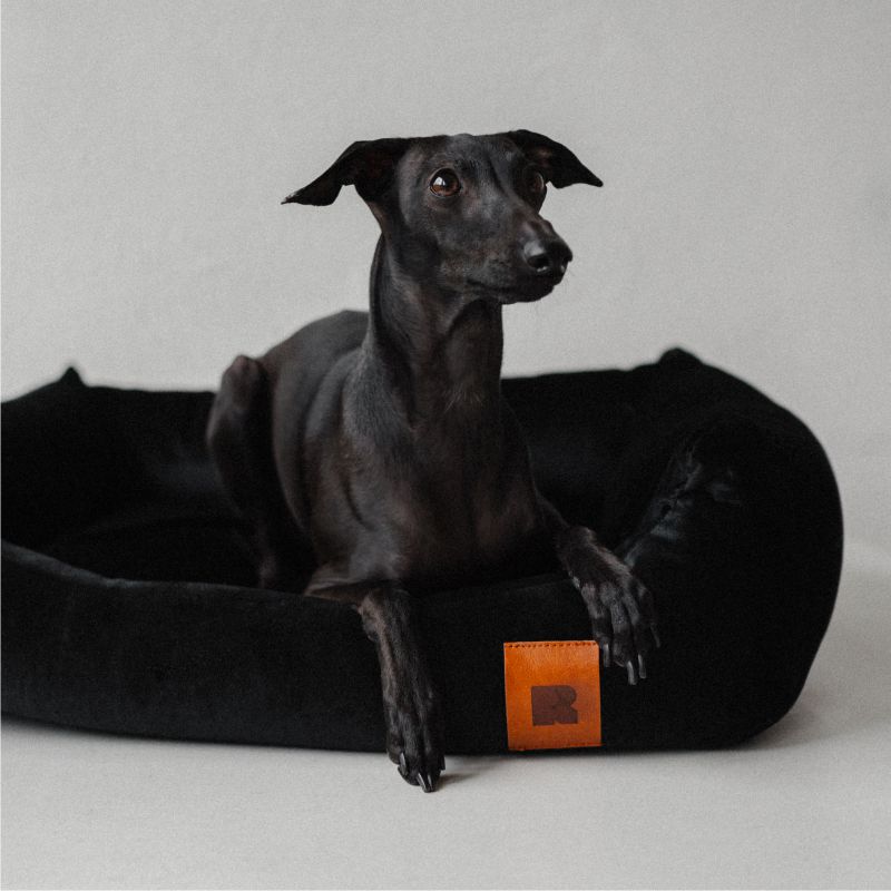 REDANT zamatový dog bed VELVET čierny - Size: S