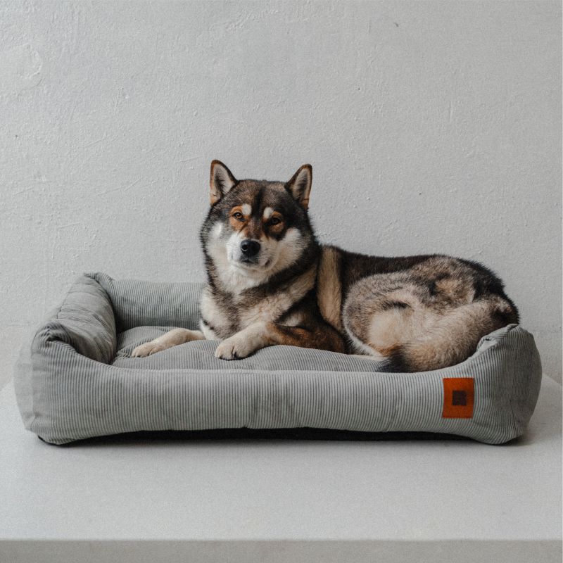 REDANT menčestrový dog bed CORD sivý - Size: S