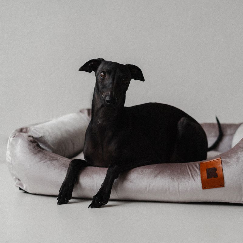 REDANT zamatový dog bed VELVET sivý - Size: M