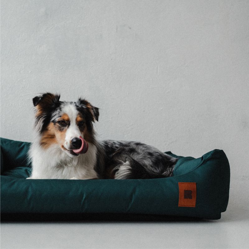 REDANT waterproof dog bed CLASSIC fialový - Size: M