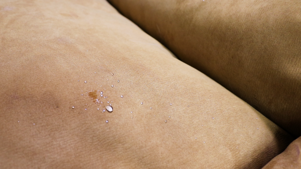 Water-repellent dog bed REDANT