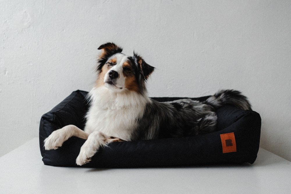 REDANT - psí pelíšek na celý život