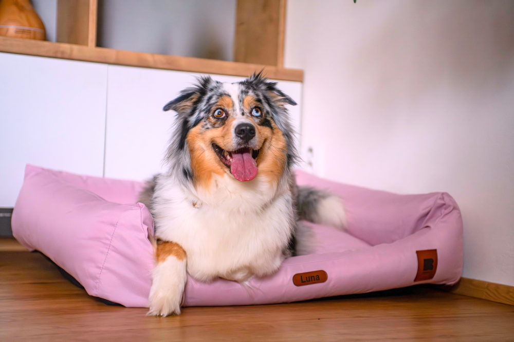 Modulární pelíšek REDANT